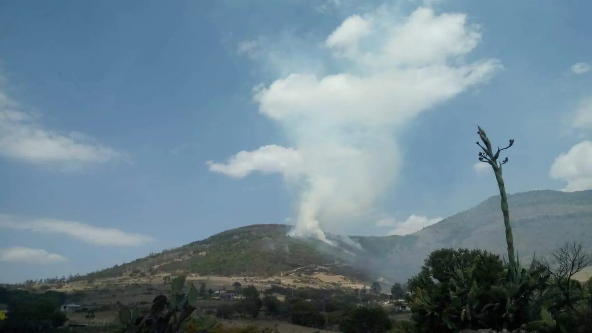 incendio cerro del gallo